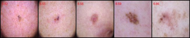 BCC-P13