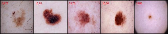 NV-P06